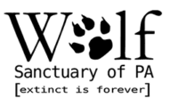 Wolf Sanctuary of PA